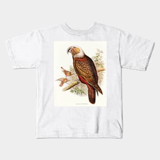 Ka-ka Parrot (Nestor hypopolius) Kids T-Shirt